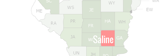 Saline County Map